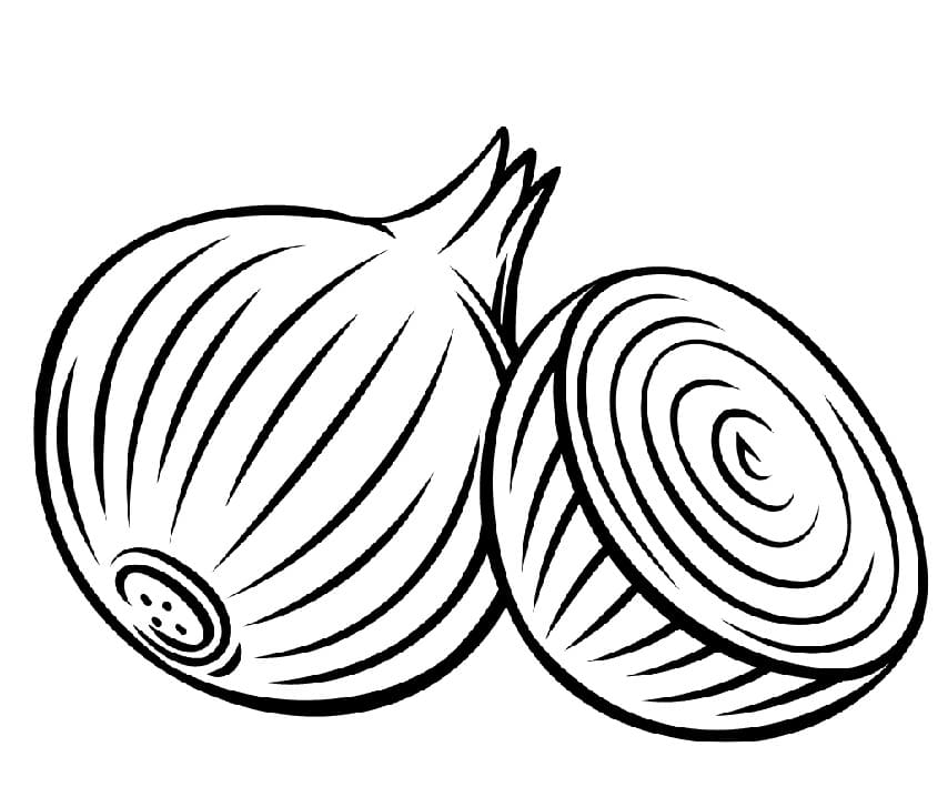 Hagyma zöldség