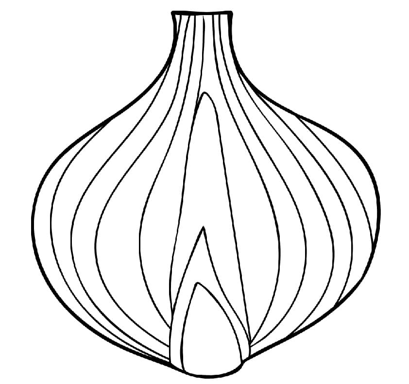 Könnyű Hagyma